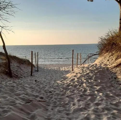 Hexagon Nr 1 グジボボ